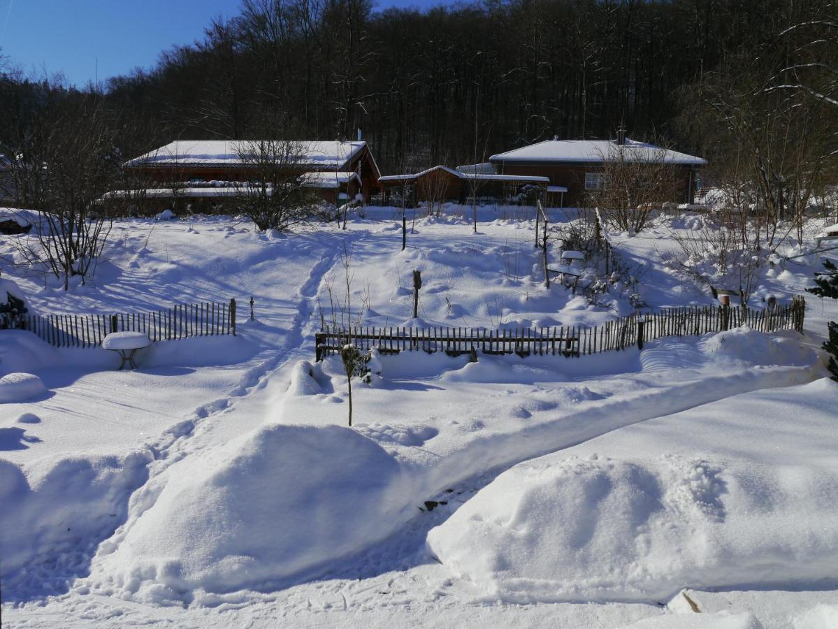 Elfenhaeuschen Mit 3 Dtv Sternen Ausgezeichnet Villa บัดฮาร์ซบวร์ก ภายนอก รูปภาพ