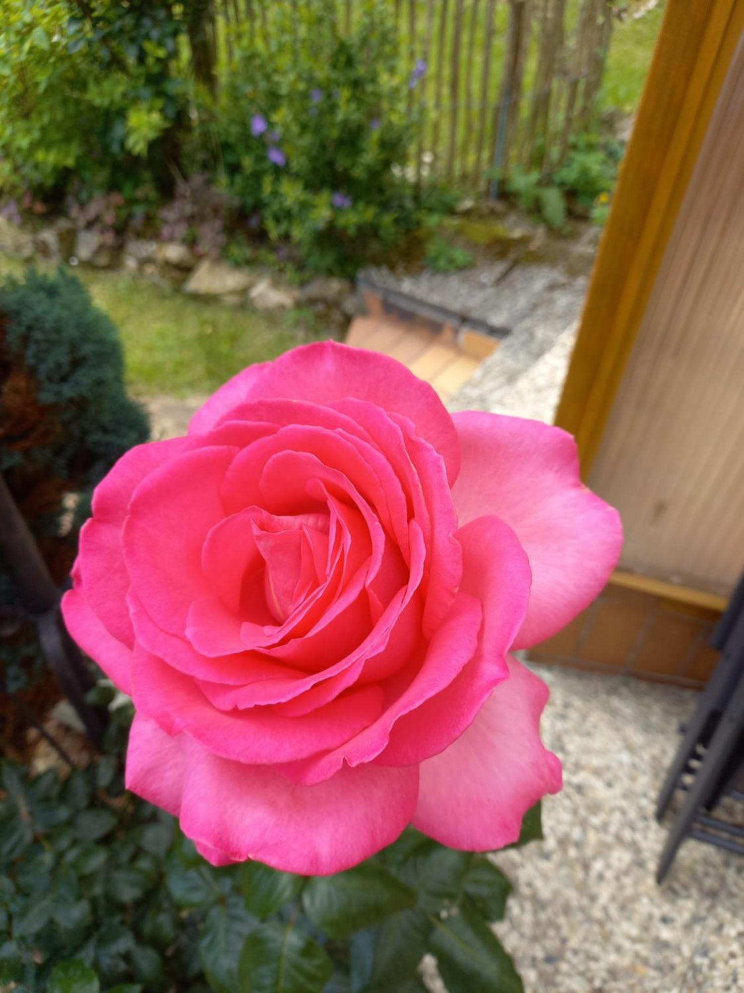 Elfenhaeuschen Mit 3 Dtv Sternen Ausgezeichnet Villa บัดฮาร์ซบวร์ก ภายนอก รูปภาพ