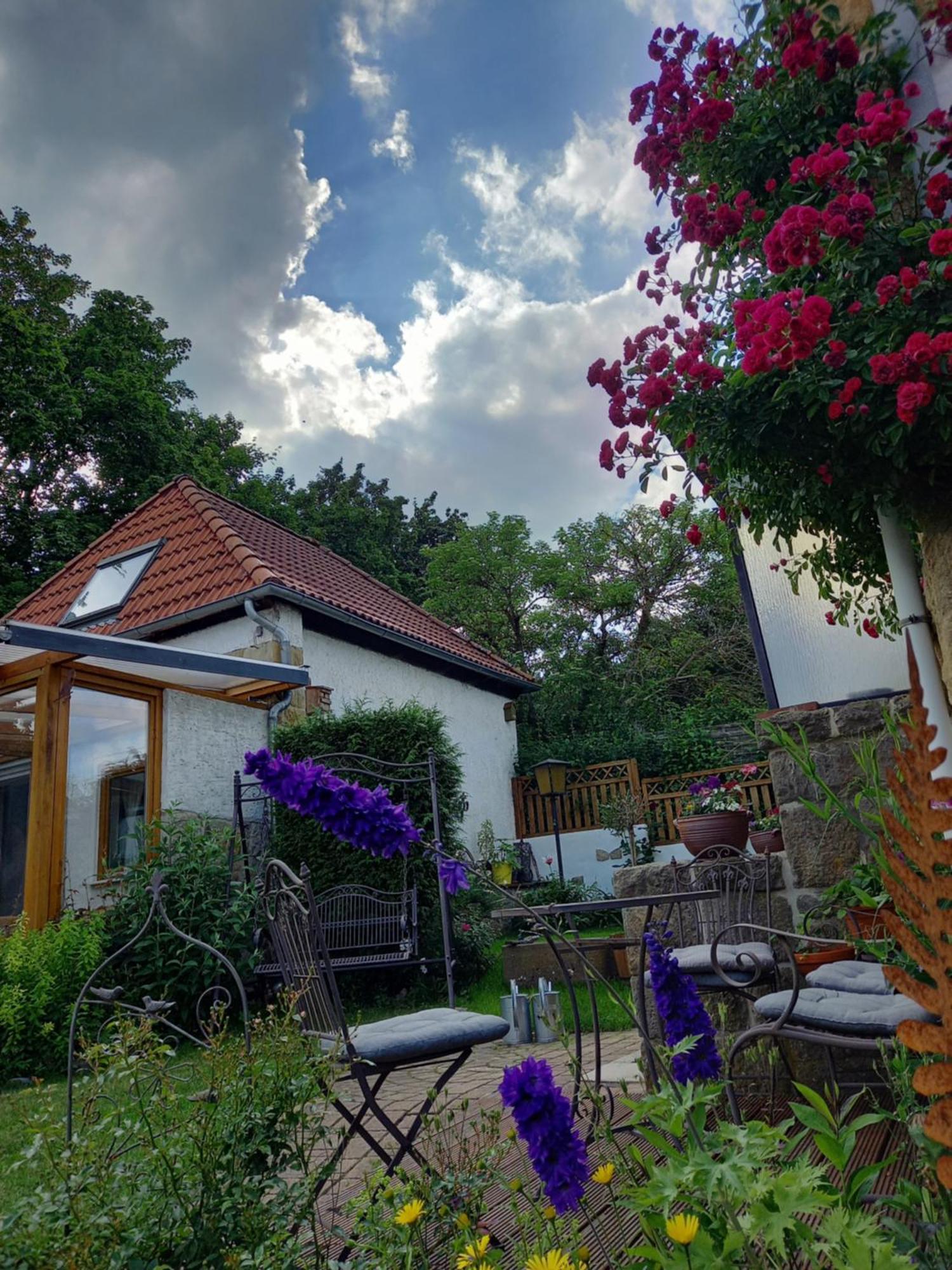Elfenhaeuschen Mit 3 Dtv Sternen Ausgezeichnet Villa บัดฮาร์ซบวร์ก ภายนอก รูปภาพ