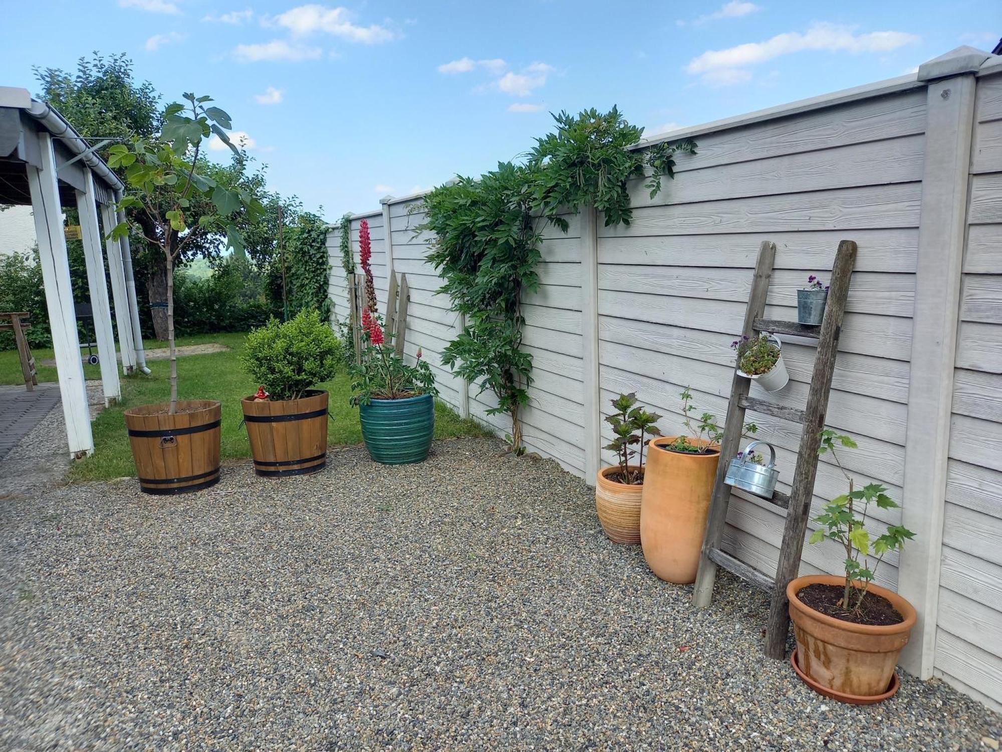 Elfenhaeuschen Mit 3 Dtv Sternen Ausgezeichnet Villa บัดฮาร์ซบวร์ก ภายนอก รูปภาพ