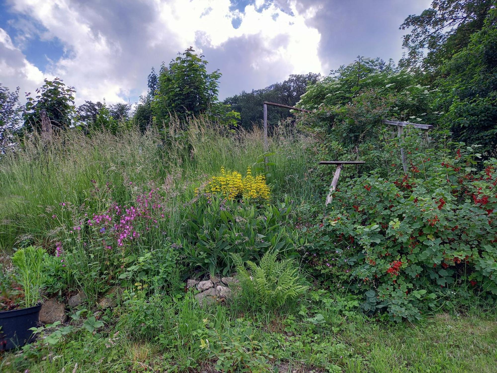 Elfenhaeuschen Mit 3 Dtv Sternen Ausgezeichnet Villa บัดฮาร์ซบวร์ก ภายนอก รูปภาพ