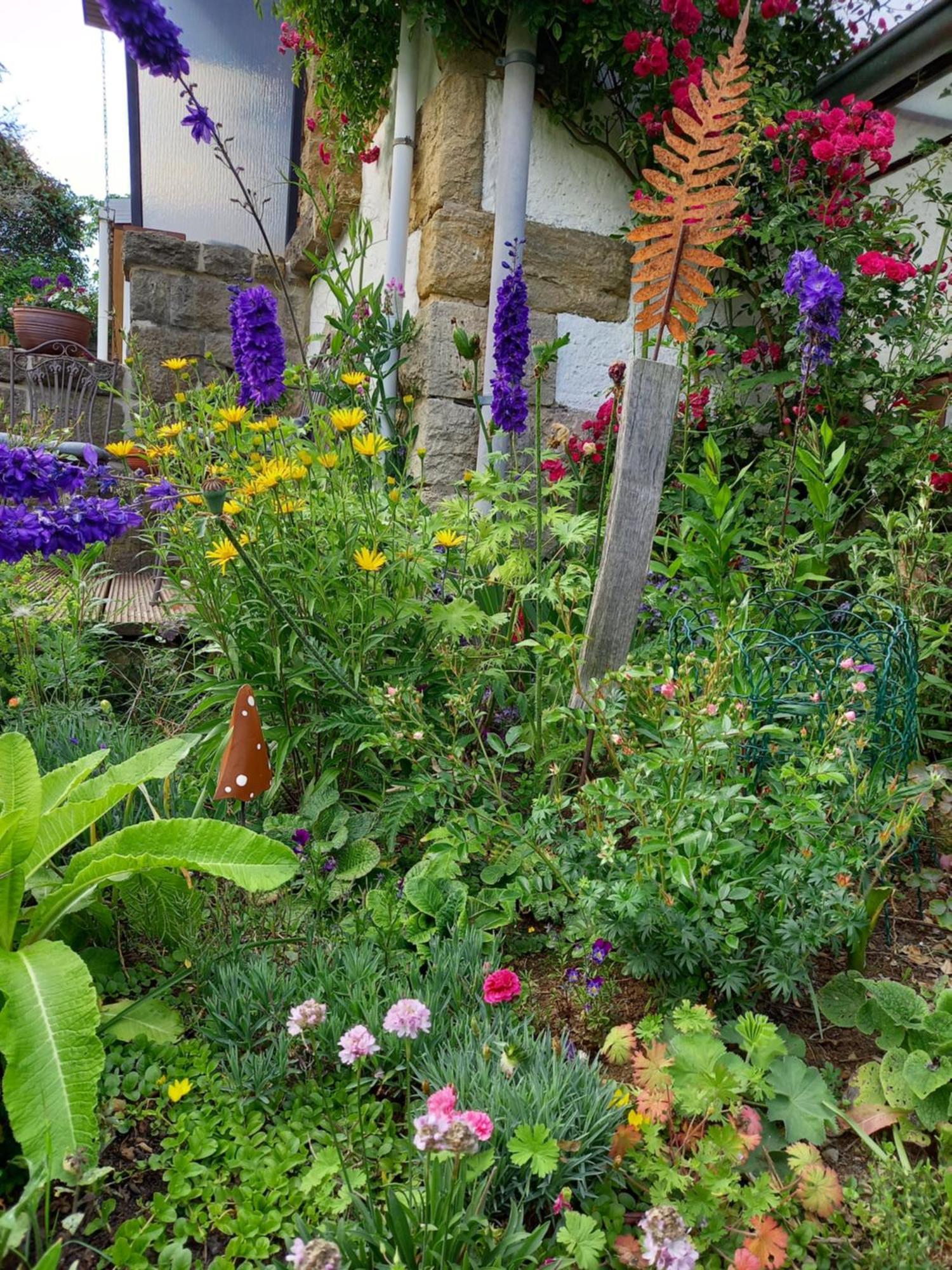 Elfenhaeuschen Mit 3 Dtv Sternen Ausgezeichnet Villa บัดฮาร์ซบวร์ก ภายนอก รูปภาพ