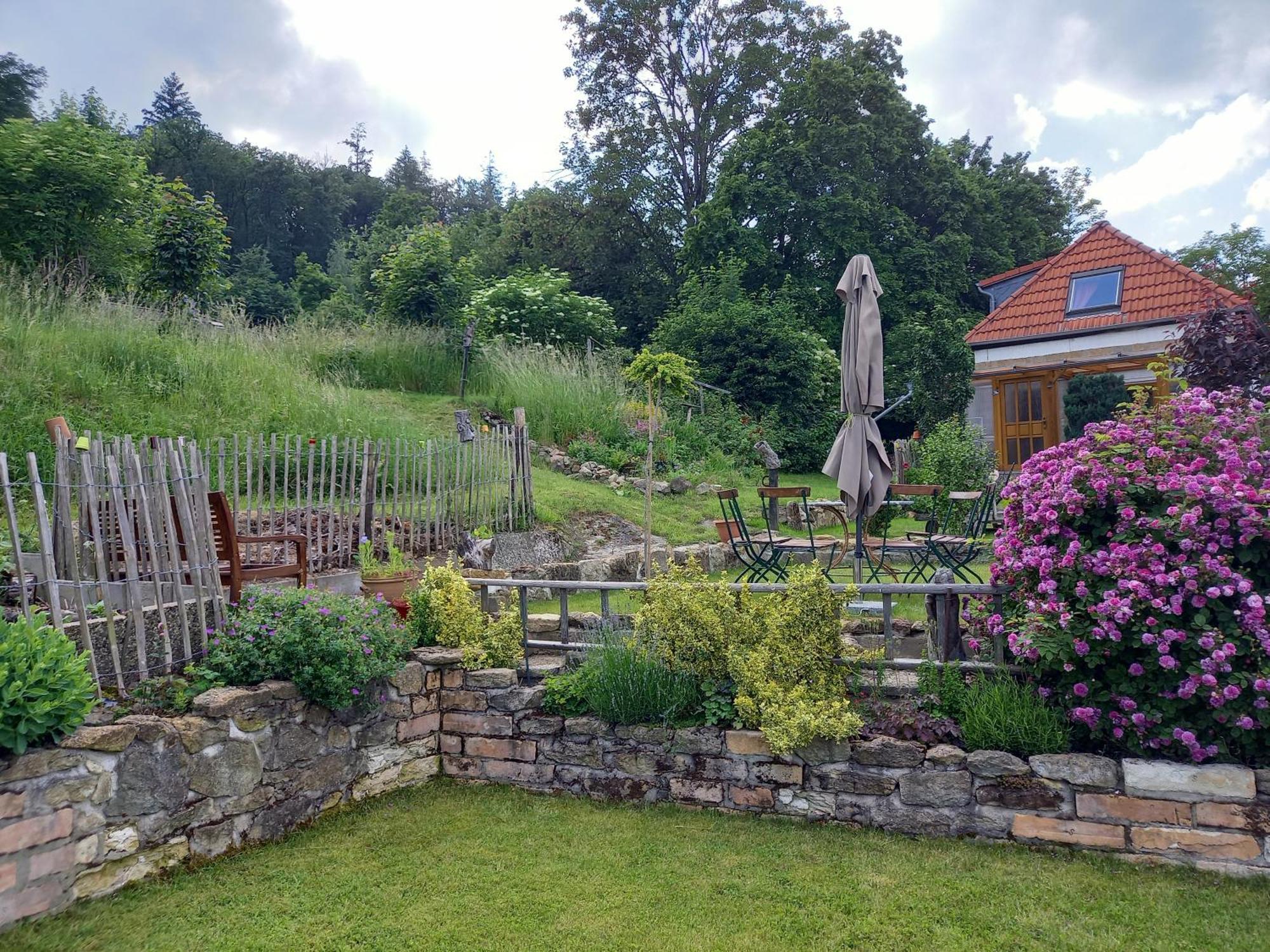 Elfenhaeuschen Mit 3 Dtv Sternen Ausgezeichnet Villa บัดฮาร์ซบวร์ก ภายนอก รูปภาพ