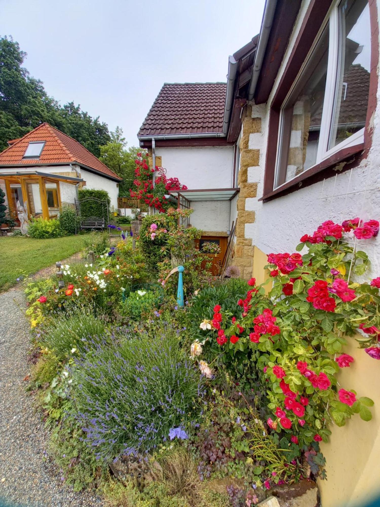 Elfenhaeuschen Mit 3 Dtv Sternen Ausgezeichnet Villa บัดฮาร์ซบวร์ก ภายนอก รูปภาพ