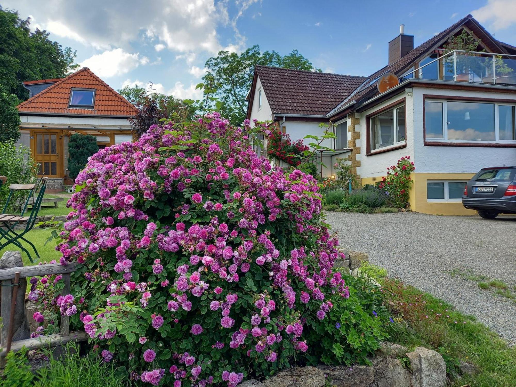 Elfenhaeuschen Mit 3 Dtv Sternen Ausgezeichnet Villa บัดฮาร์ซบวร์ก ภายนอก รูปภาพ